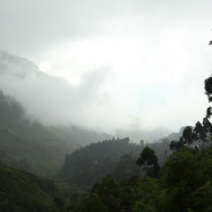 To take an effective photojournalistic approach to travel photography you should aim to develop a central focus or theme. In Sri Lanka I focused on the tea growing district of the Central Highlands.